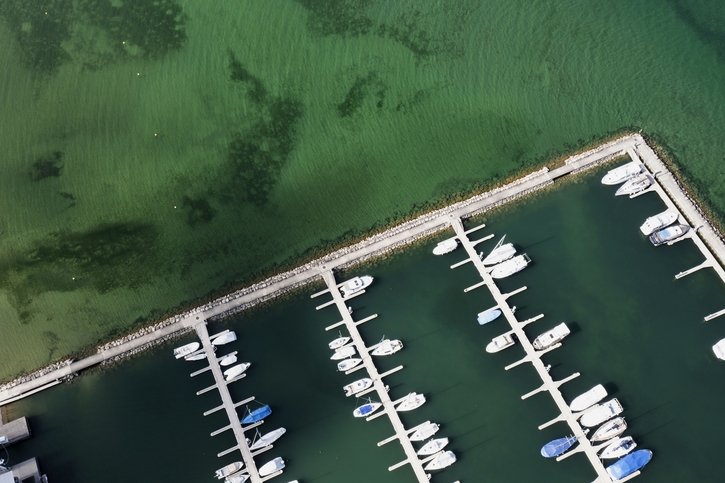 Broye: Les ports du lac de Neuchâtel sont envahis de plantes aquatiques