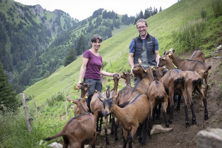 Sur nos montagnes: La vraie vie d'Heidi et Peter
