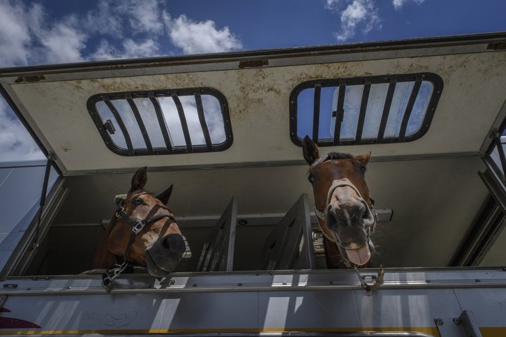 Hippisme: Deux médailles fribourgeoises aux championnats suisses de la relève