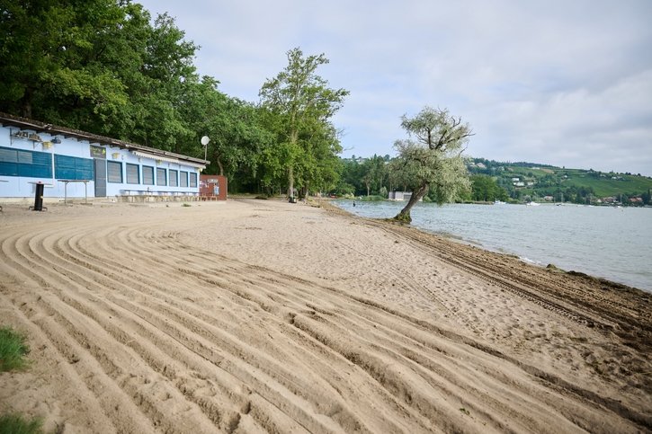 Série d'été: La plage de Salavaux, une des plus longues étendues de sable de Suisse