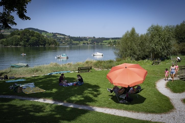 Environnement: Cyanobactéries: pas d'alerte dans les lacs de la région