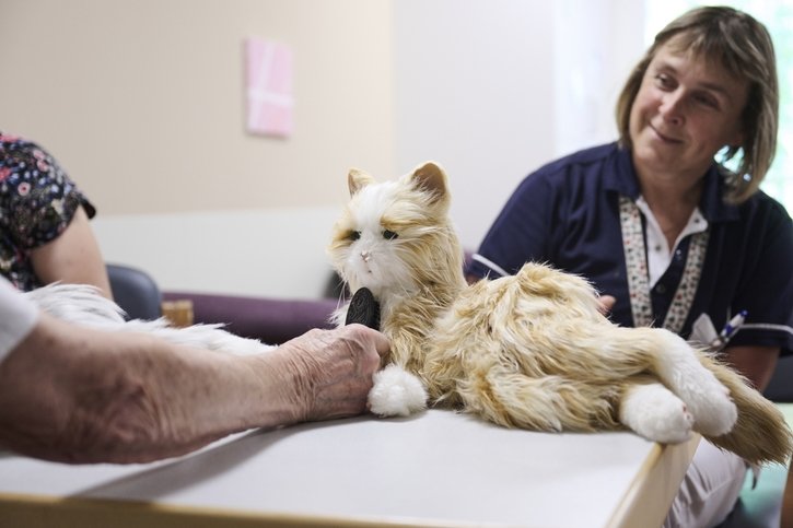 Animaux (5/7): Réconfortant comme un vrai chat