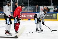 Hockey sur glace: Avant la Ligue des champions, Gottéron disputera six matches de préparation