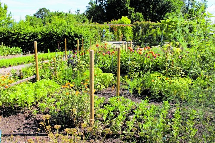 Jardins extraordinaires (2/6): Là où la vivace indigène reprend ses droits