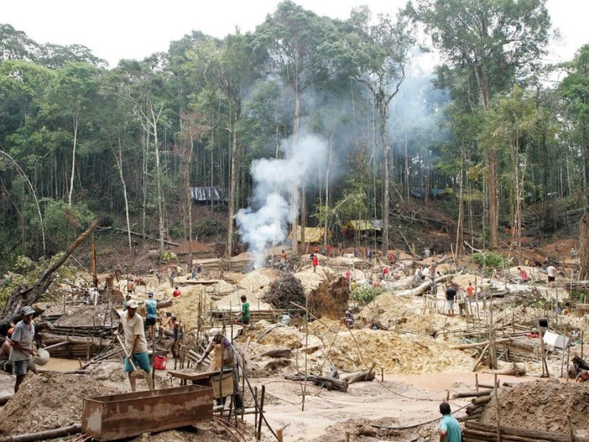 La Déforestation De La Forêt Amazonienne En Hausse De 16 Au Brésil La Liberté