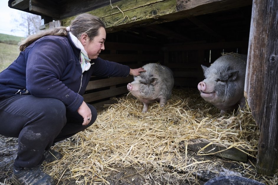 Faites des pieds et des mains pour un soin Cochon –