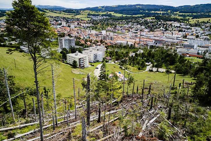 Pour marquer le premier anniversaire de la tempête qui a frappé les Montagnes neuchâteloises le 24 juillet 2023, les cloches de La Chaux-de-Fonds ont sonné à l'unisson ce mercredi durant 6 minutes et 30 secondes, soit la durée du phénomène dévastateur. © KEYSTONE/JEAN-CHRISTOPHE BOTT