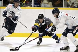 Fribourg-Gottéron: Jeremi Gerber, plus jeune, plus robuste