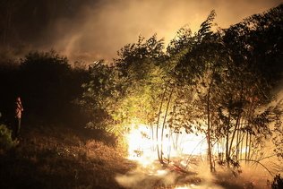 Portugal: plus de 40 feux ravagent toujours le nord et le centre